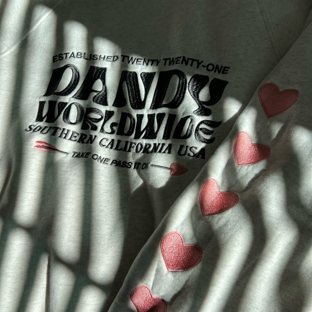 dandy worldwide heart on my sleeve hoodie